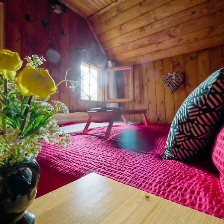 Luxury Alpine & Sauna Pinja - I Feel Alps Holiday home