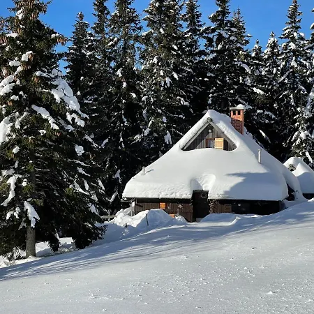 Luxury Alpine & Sauna Pinja - I Feel Alps * Stahovica