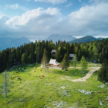 Luxury Alpine & Sauna Pinja - Velika Planina - I Feel Alps 度假居 Stahovica