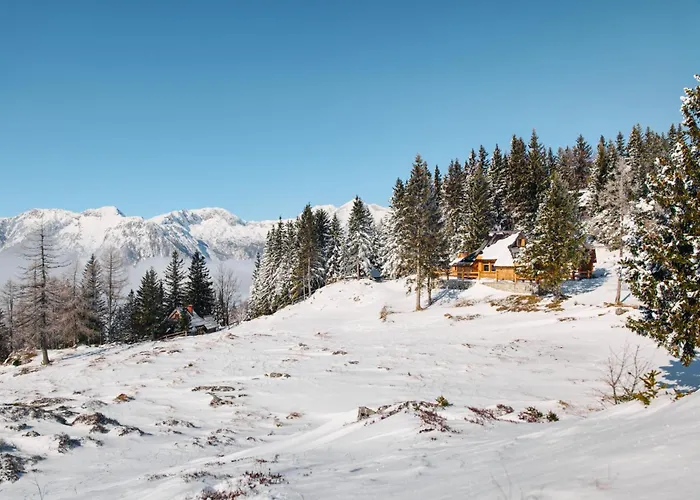 Luxury Alpine & Sauna Pinja - Velika Planina - I Feel Alps * Stahovica