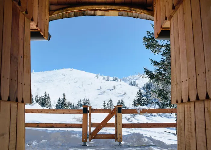 Holiday home Luxury Alpine & Sauna Pinja - Velika Planina - I Feel Alps