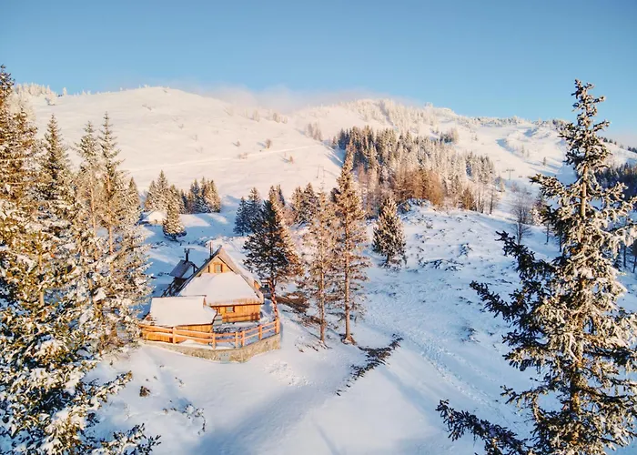 Luxury Alpine & Sauna Pinja - Velika Planina - I Feel Alps Stahovica