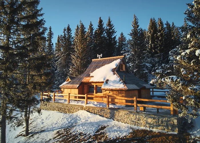 Luxury Alpine & Sauna Pinja - Velika Planina - I Feel Alps Holiday home Stahovica