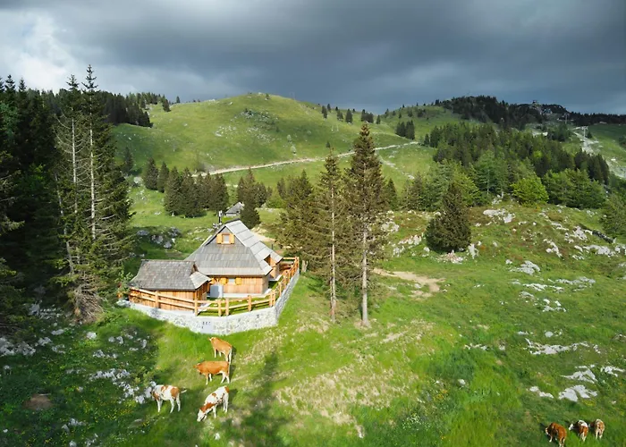 Holiday home Luxury Alpine & Sauna Pinja - Velika Planina - I Feel Alps