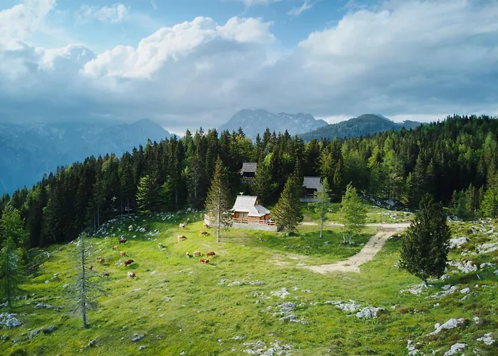 Luxury Alpine & Sauna Pinja - Velika Planina - I Feel Alps Holiday home Stahovica